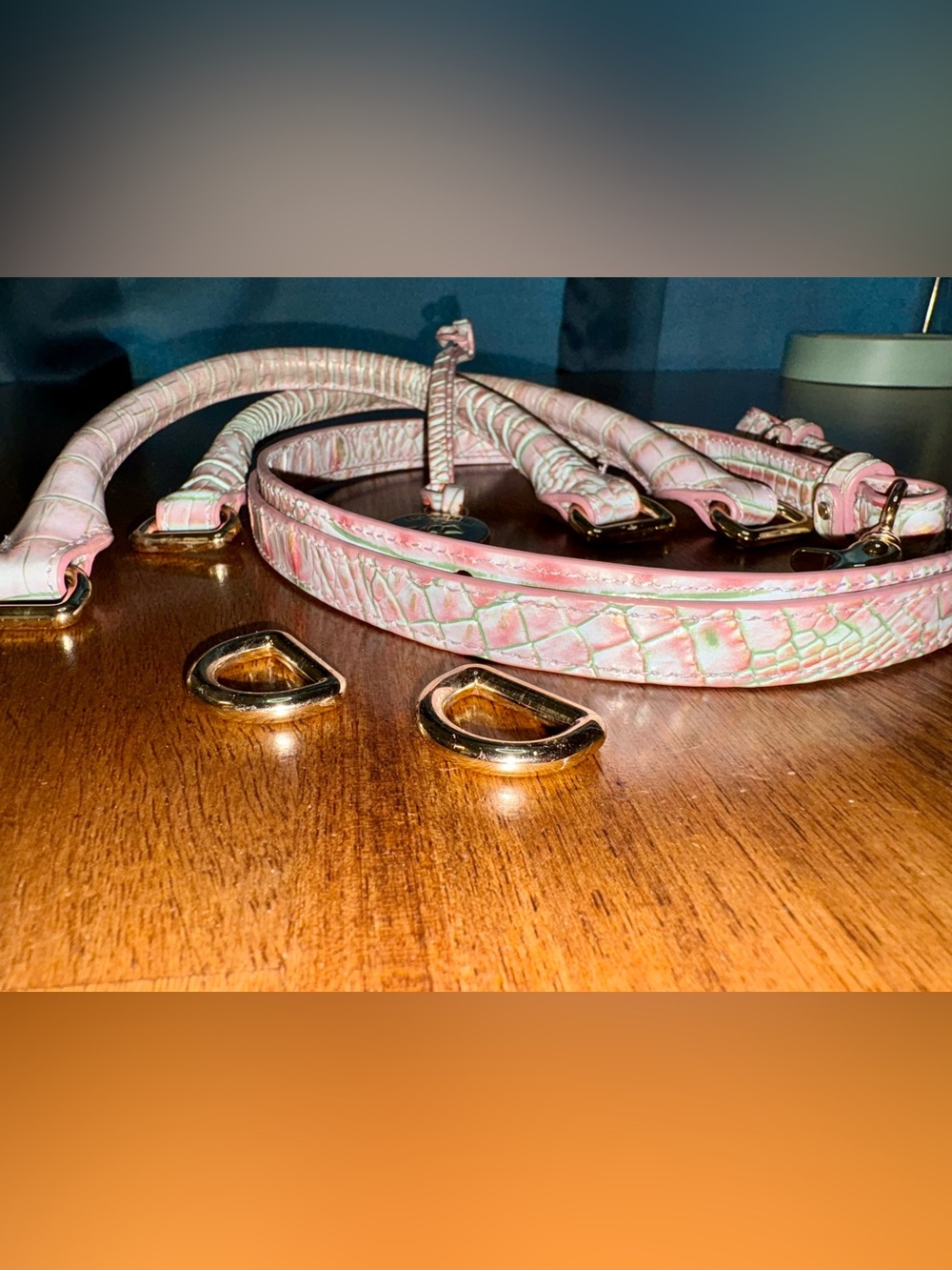 Brahmin Flirty Ombré—Pink/Green Croc-Texture Bag Straps with Gold Hardware - Picture 4 of 13
